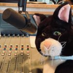 Stoffkater sitzt auf dem Mischpult in einem Radio-Studio