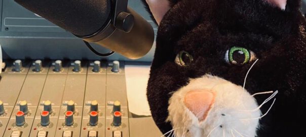 Stoffkater sitzt auf dem Mischpult in einem Radio-Studio